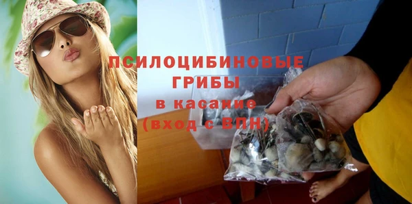 ГАЛЛЮЦИНОГЕННЫЕ ГРИБЫ Абаза