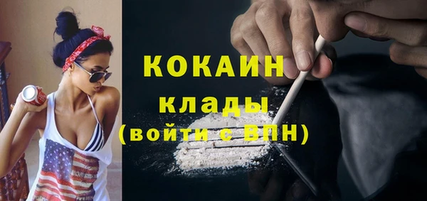 ГАЛЛЮЦИНОГЕННЫЕ ГРИБЫ Абаза