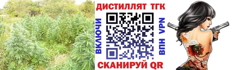 где купить   Мантурово  ТГК гашишное масло 